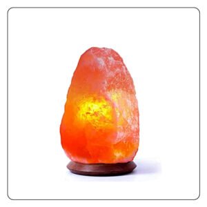 Pink Salt Natural Lamp