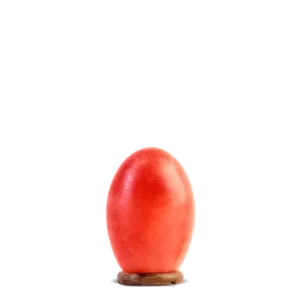 Egg Shape